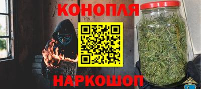мяу мяу мука Малгобек